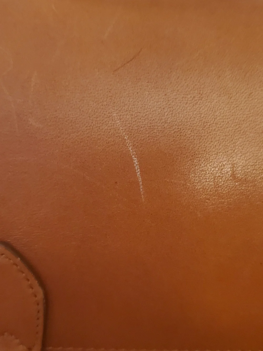 Leegin Saddle Leather Bed roll? Book strap? Bard LARP, Renaissance Fair